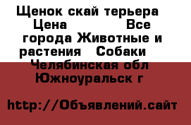 Щенок скай терьера › Цена ­ 20 000 - Все города Животные и растения » Собаки   . Челябинская обл.,Южноуральск г.